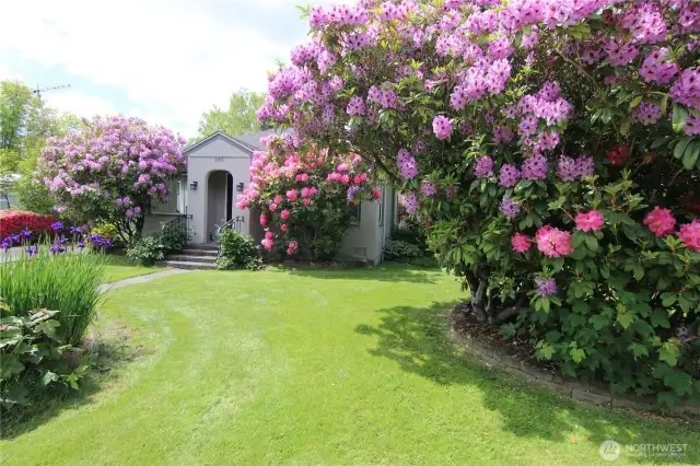 Hard to find this many gorgeous plants in one yard