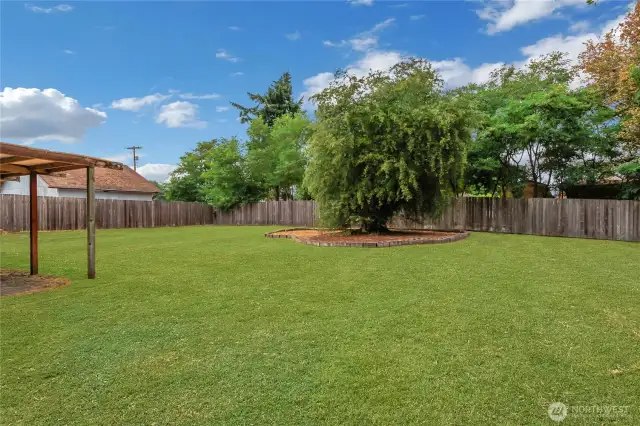 Huge Backyard. Lawn enhanced