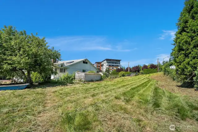 Picture taken from SE corner of the property.