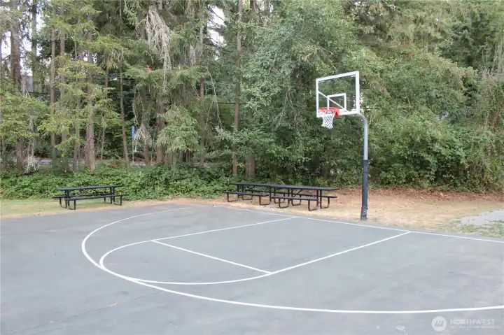 Rosedale Hall Basketball Court Rosedale Hall Basketball Court