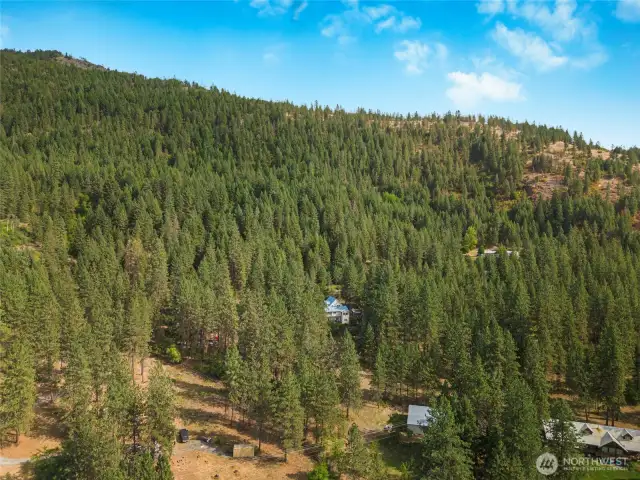 Peaceful, wooded hillsides around home