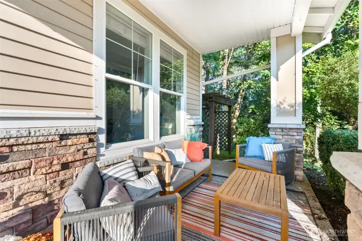 Back Patio