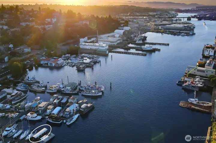 The ship canal offers a part of Seattle not many get to experience.