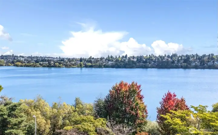 Beautiful Greenlake View from the Property
