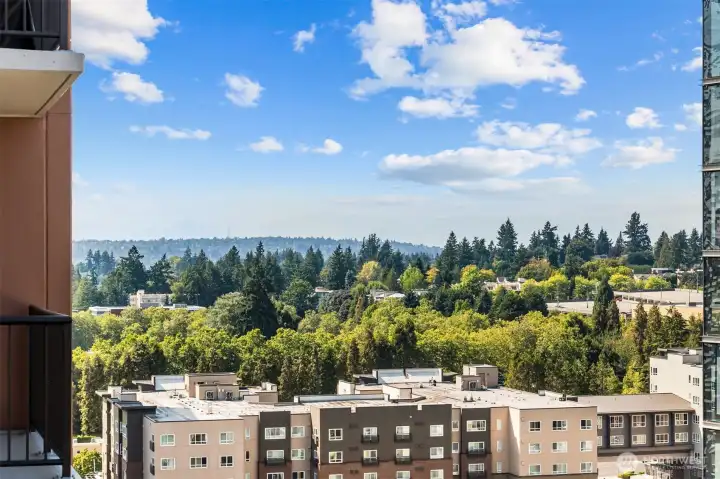 Live in Bellevue and enjoy a quick commute to major tech companies and business centers. With excellent transit options and easy access to I-405 and I-90, you're seamlessly connected to Redmond, Kirkland, and Seattle.