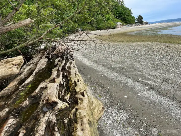 Miles of pristine beaches