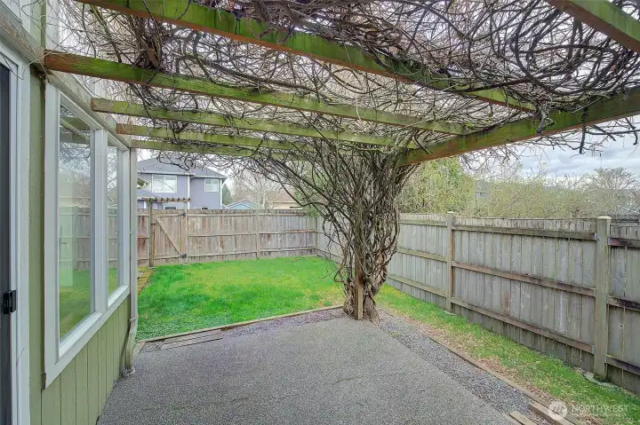 Fenced back/side yard patio with Wisteria covered pergola. (just wait until it blooms this spring, beautiful!) Gates to the front yard and to the back alley access.