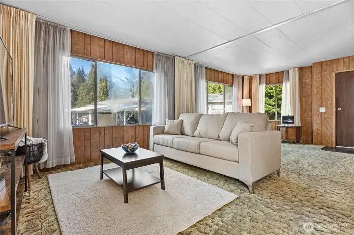 Tons of natural lighting!