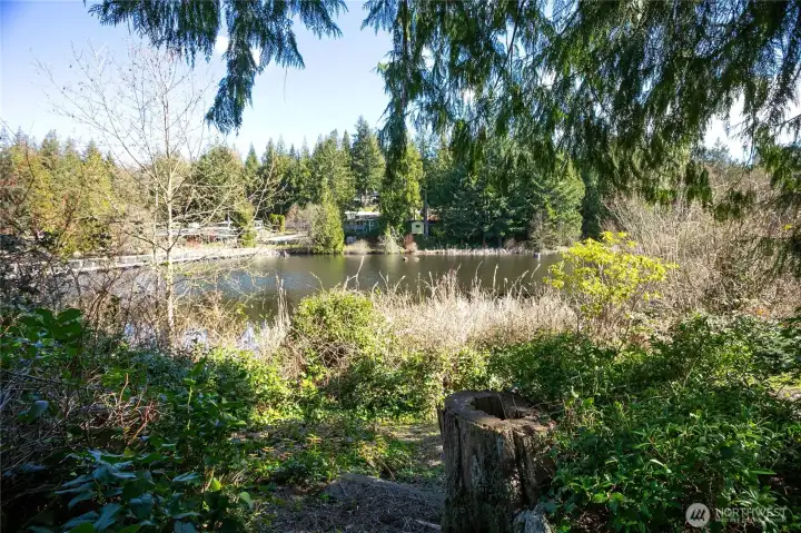 Views of Lake Bullard - So PEACEFUL!
