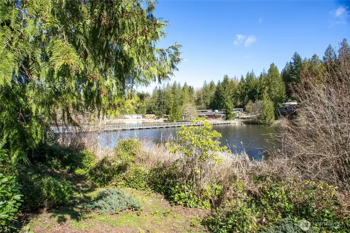 More views of Lake Bullard - So PEACEFUL!