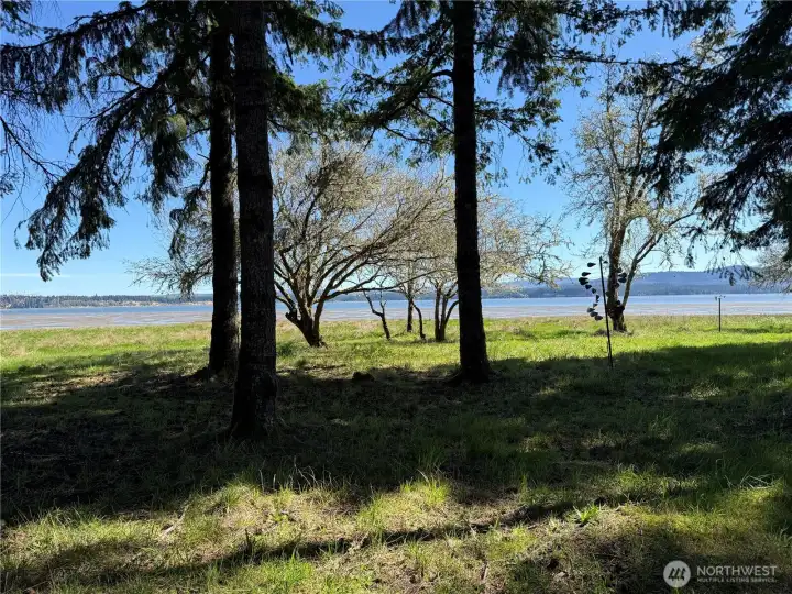 The parklike setting as you stroll to the bay is natures gift.