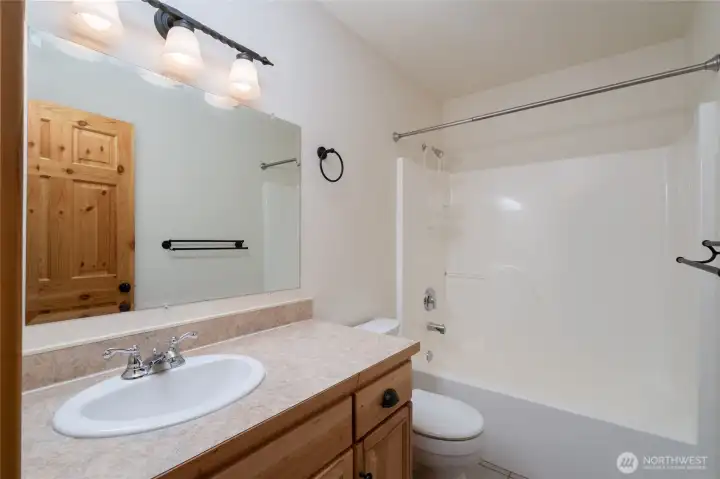 Full Guest bathroom lower level