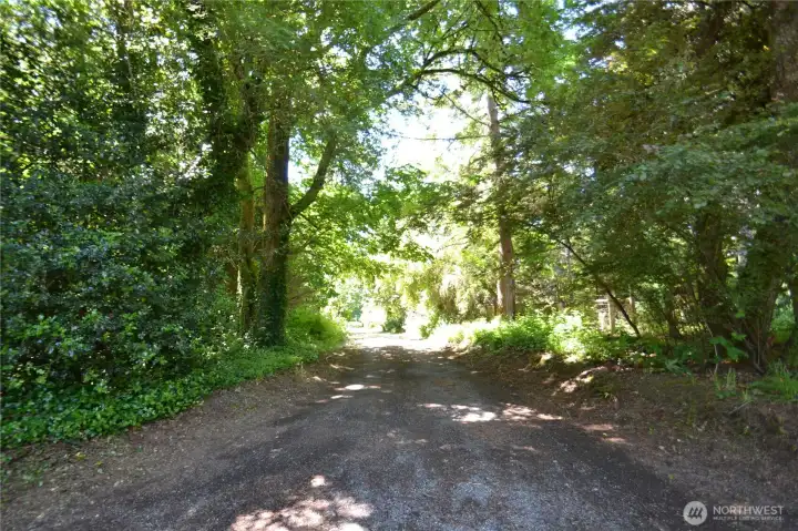 Driveway into the property