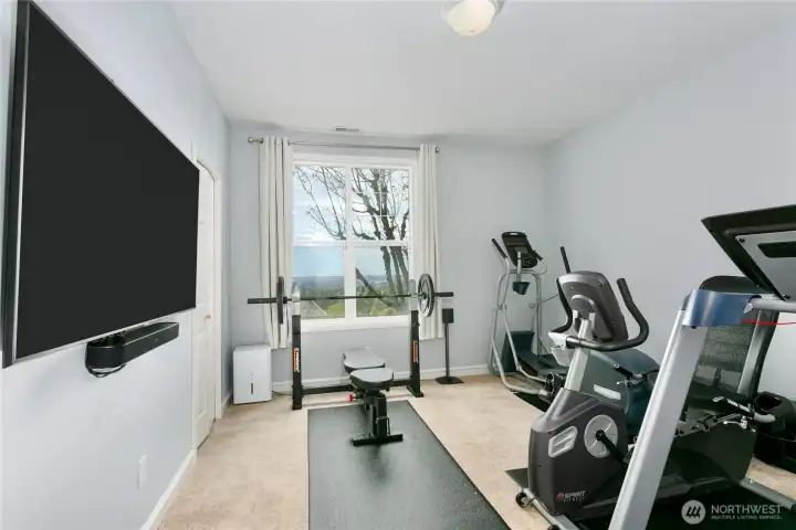 3rd bedroom on bottom floor