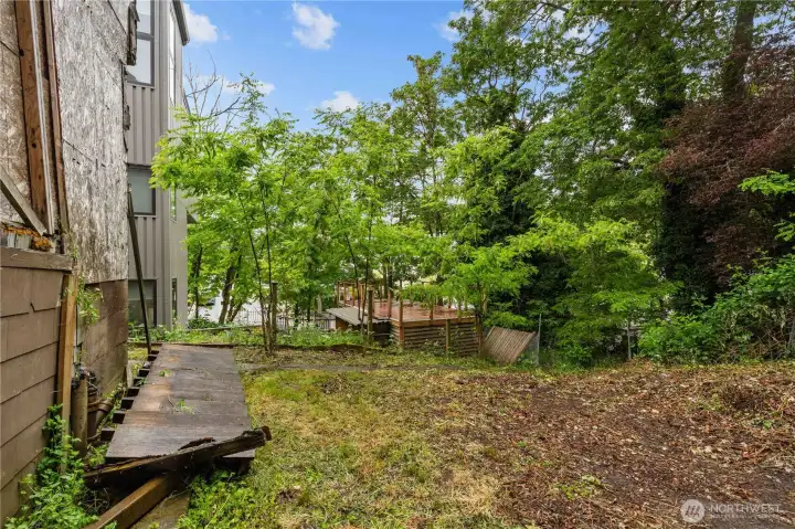 Backyard