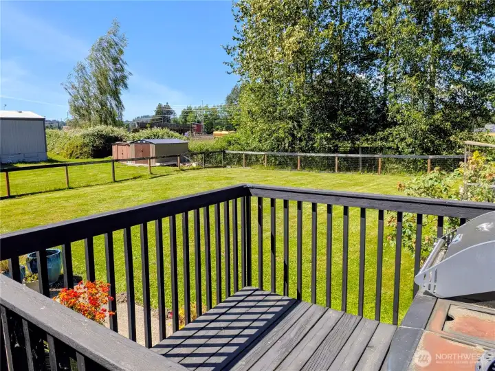 Backyard deck.