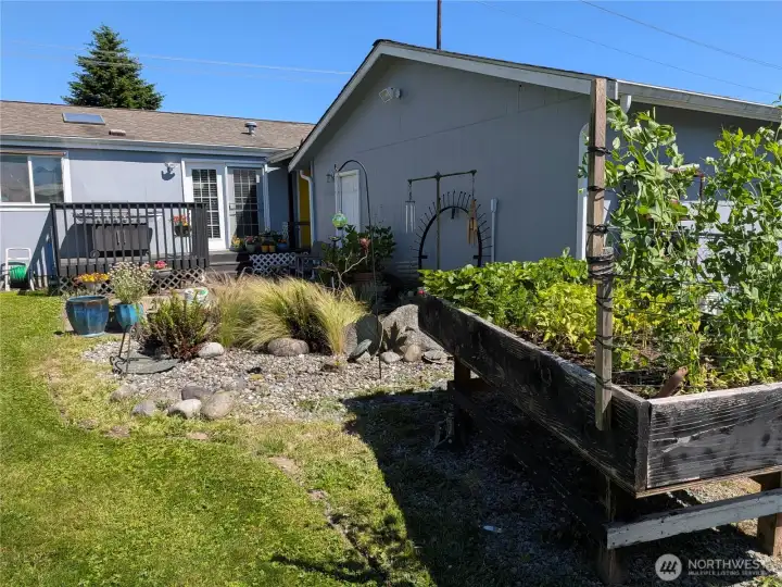 Standing height vegetable herb garden.