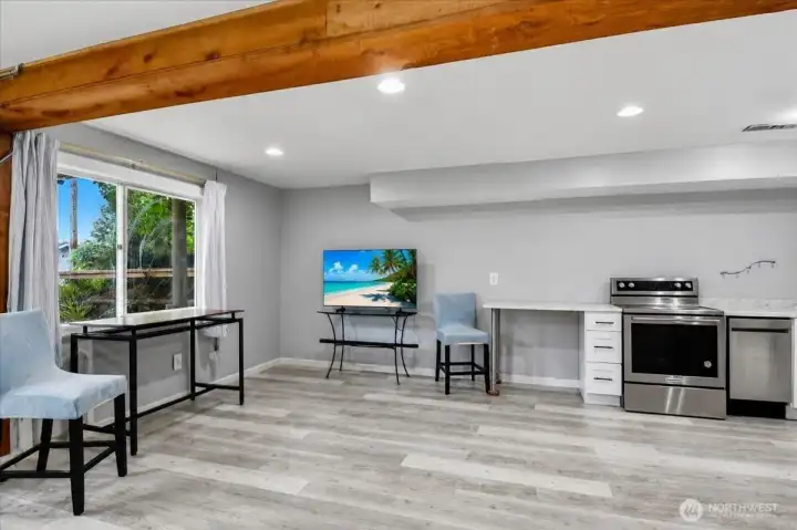 Lower level living area