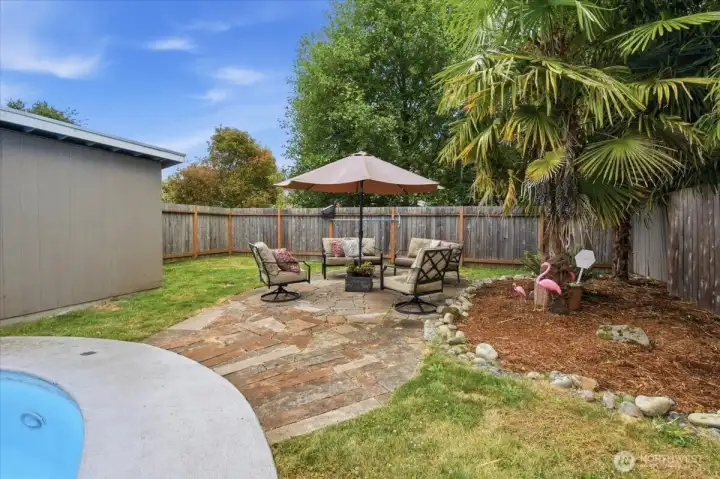 Back yard pool-side sitting area