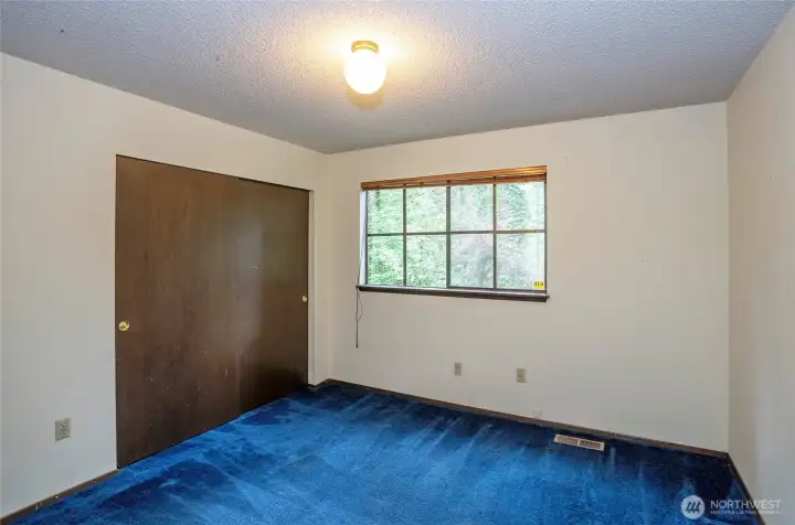 Lower-level guest suite #2 with generous closet space.