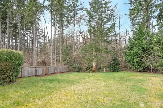 Another perspective of the backyard, offering plenty of space for recreation and relaxation.