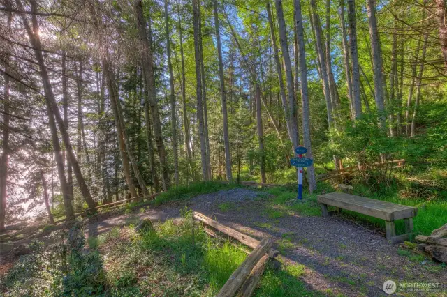 Raccoon Point 2 Private waterfront trails.