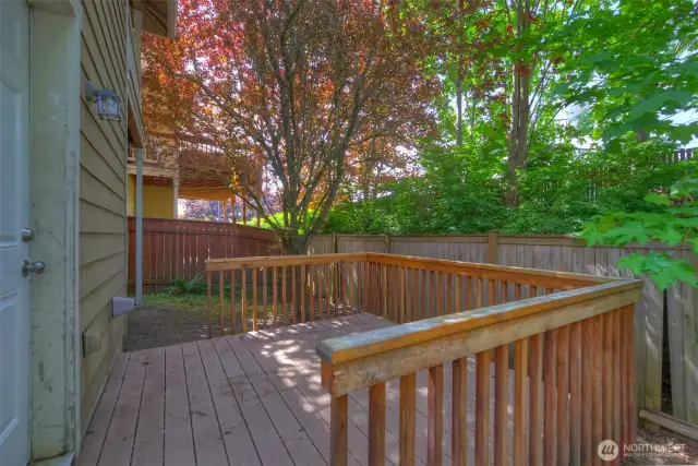 Deck of of kitchen