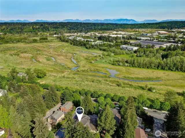 Minutes from parks, business centers, dining, shopping, and light rail.