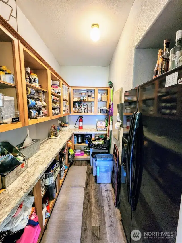 Don't miss this awesome pantry.  Fridge stays!