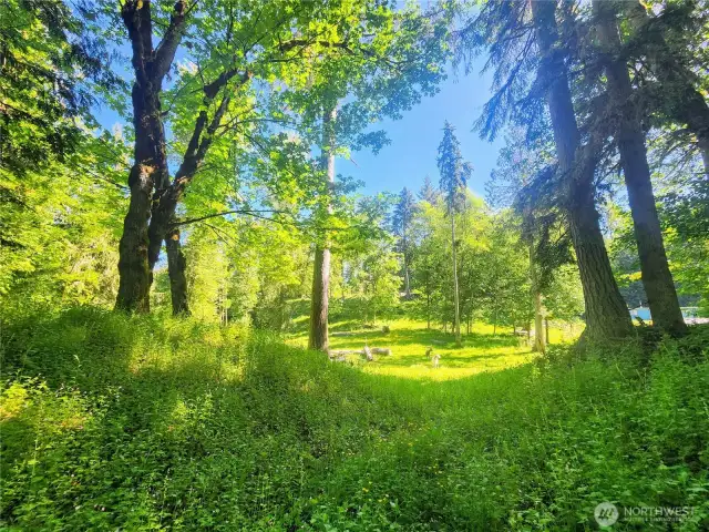 Pasture view heading toward the creek.