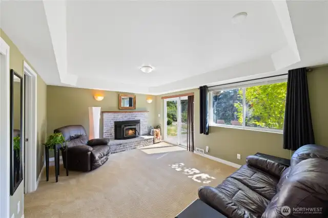 Lower level recreational/flex room with glass doors out to the yard and fireplace.