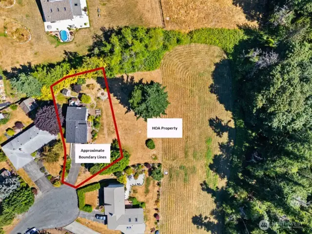 Approximate property lines.