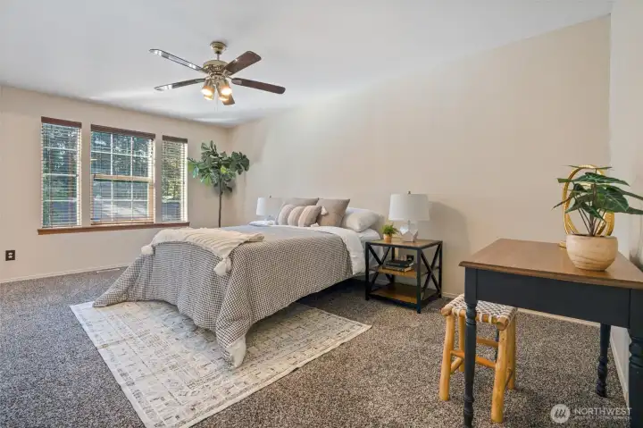Primary large bedroom with king size bed.