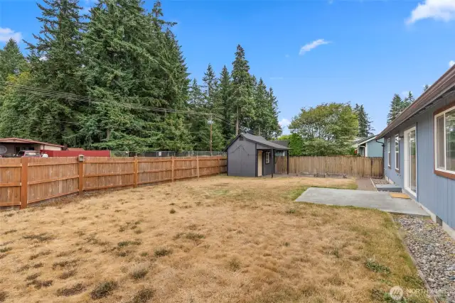 Turn on the sprinklers and watch this backyard green up again!