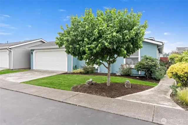 HOA takes care of front yard maintenance
