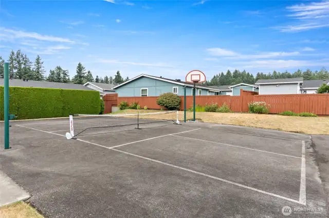 Pickleball Court