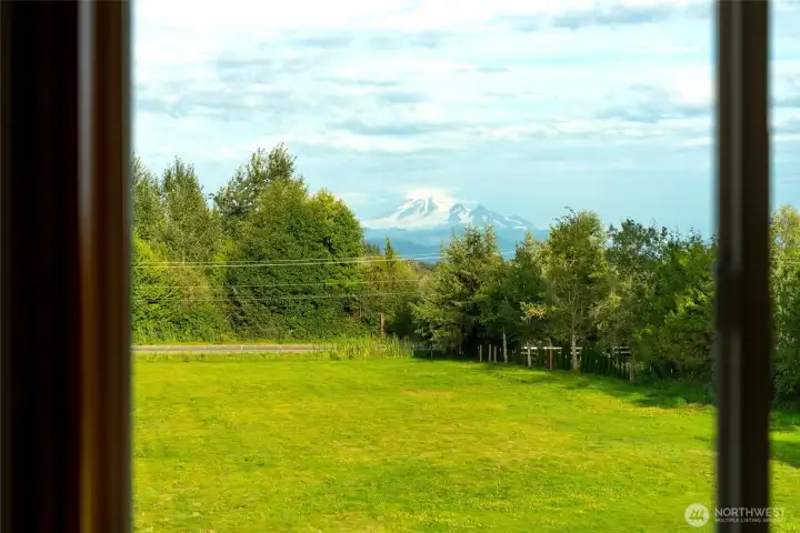 View From the Bedroom