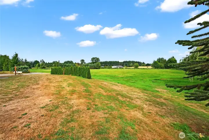 Expansive Property - Front field.