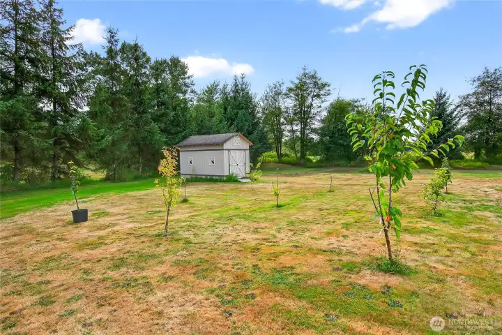Self-pollinating orchard and shed