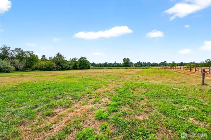 Back field