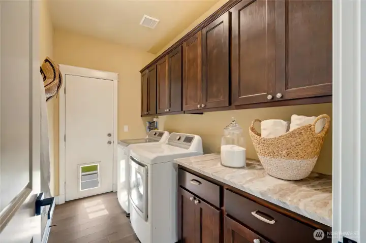 Downstairs Laundry room leading to backyard