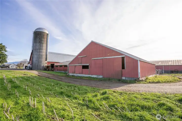 The older loafing/bedding barn and the classic hiproof barn and silo