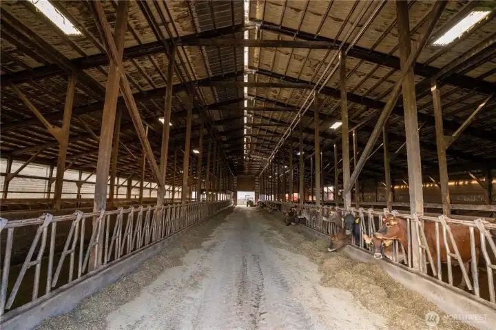 Newer loafing and drive-thru feeding barn