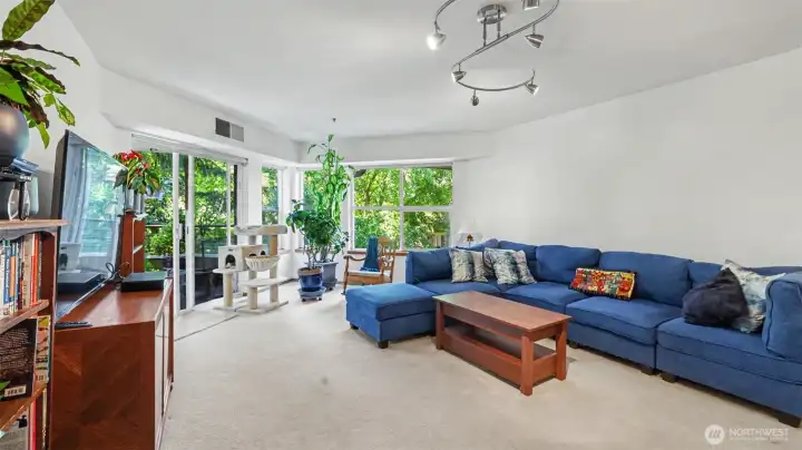 Lots of windows for natural light