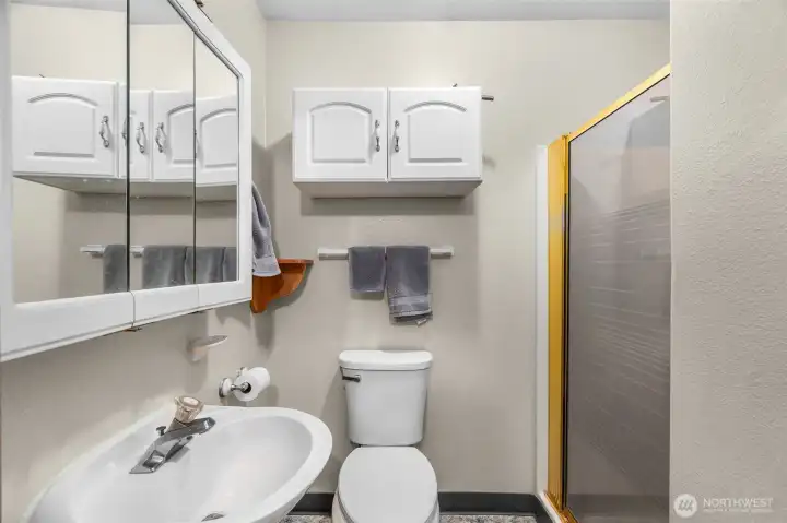 Guest Bathroom with Shower