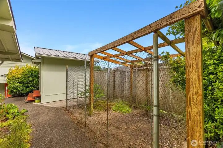 Garden Space/ Dog kennel