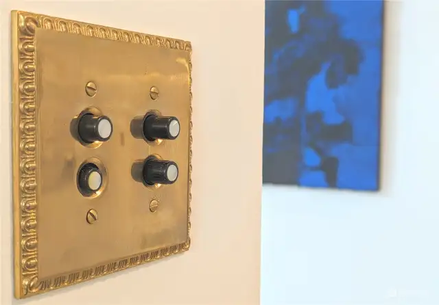 Mother of Pearl dimmable light switches.