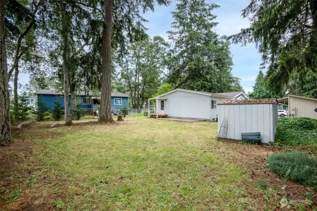 HUGE fully fenced backyard with toolshed, trees, back patio and room for your garden.