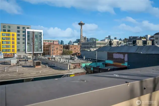 The city skyline & Space Needle rise in the distance.