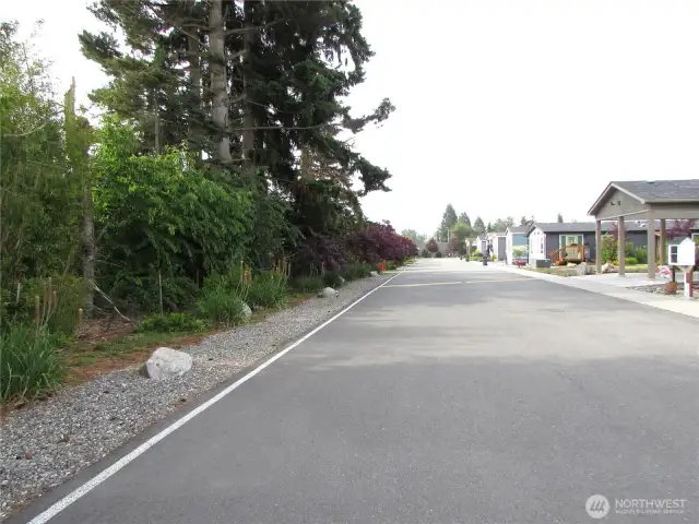 MATURE LANDSCAPING ON LEFT ACROSS STREET FROM ALL NEWER HOMES IN NEW 10 LOT ADDITION OF LATIERRA. COMM. OPEN GREEN BELT ON RIGHT AND FENCED DOG PARK AT END OF PARKS INTERIOR ROADWAY.